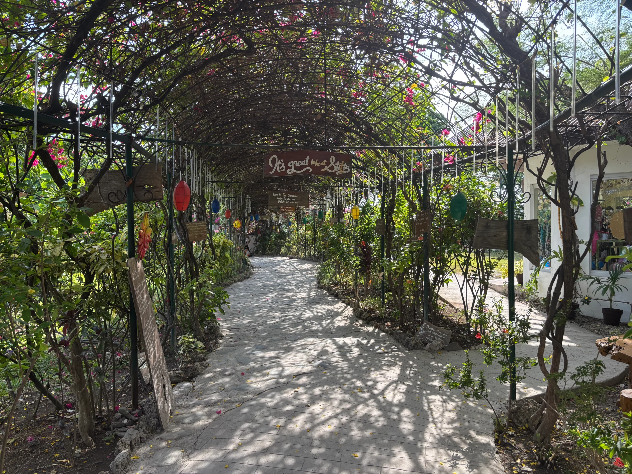 Vine-covered entrance walkway at Stilts Calatagan