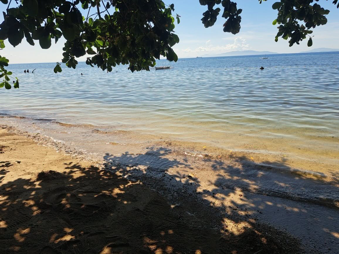 Shaded shoreline and sea at Ronco Beach Resort