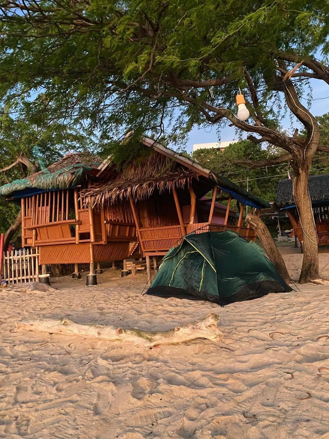 Bamboo cottage and tent beneath trees at Camp Wagi Beach Resort